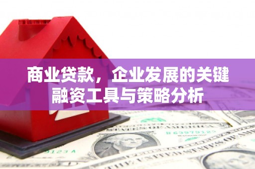 噶尔商业贷款，企业发展的关键融资工具与策略分析
