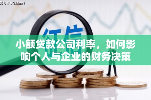噶尔小额贷款公司利率，如何影响个人与企业的财务决策