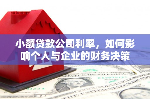 噶尔小额贷款公司利率，如何影响个人与企业的财务决策