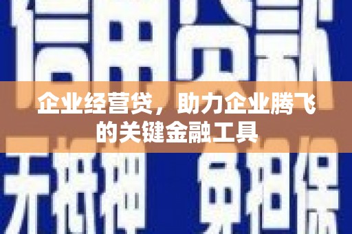 噶尔企业经营贷，助力企业腾飞的关键金融工具