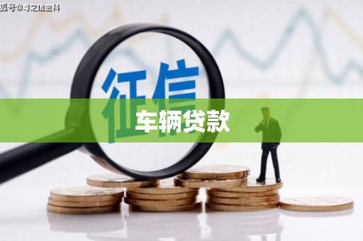 噶尔车辆贷款