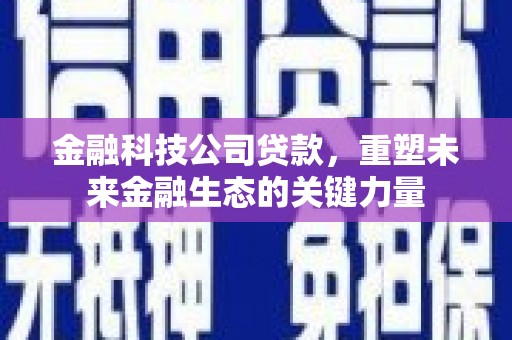 噶尔金融科技公司贷款，重塑未来金融生态的关键力量