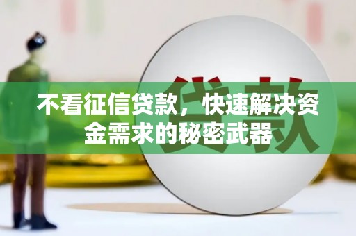 噶尔不看征信贷款，快速解决资金需求的秘密武器