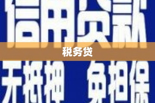 噶尔税务贷