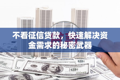 噶尔不看征信贷款，快速解决资金需求的秘密武器