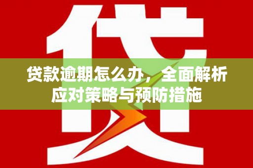 噶尔贷款逾期怎么办，全面解析应对策略与预防措施