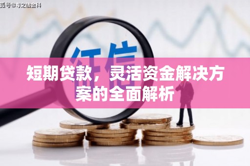 噶尔短期贷款，灵活资金解决方案的全面解析