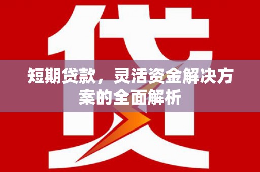 噶尔短期贷款，灵活资金解决方案的全面解析