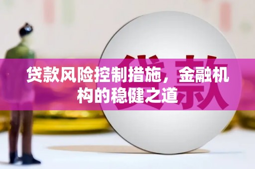 噶尔贷款风险控制措施，金融机构的稳健之道