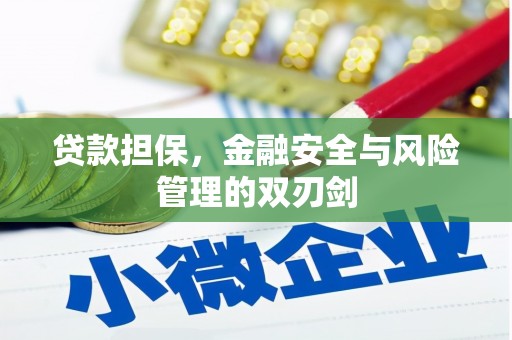 噶尔贷款担保，金融安全与风险管理的双刃剑