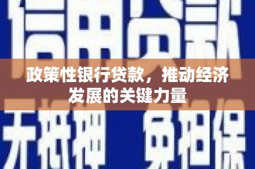 噶尔政策性银行贷款，推动经济发展的关键力量