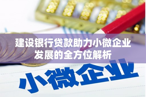噶尔建设银行贷款助力小微企业发展的全方位解析