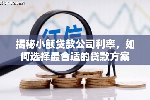 噶尔揭秘小额贷款公司利率，如何选择最合适的贷款方案