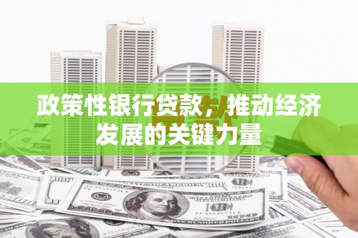 噶尔政策性银行贷款，推动经济发展的关键力量