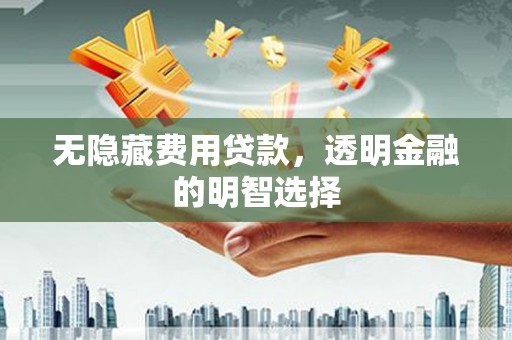 噶尔无隐藏费用贷款，透明金融的明智选择