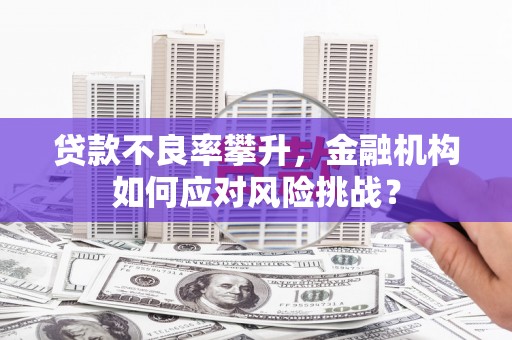 噶尔贷款不良率攀升，金融机构如何应对风险挑战？