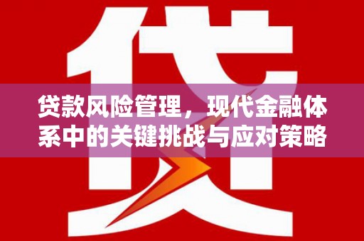 噶尔贷款风险管理，现代金融体系中的关键挑战与应对策略