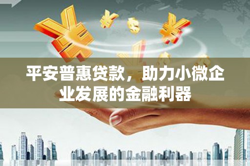 噶尔平安普惠贷款，助力小微企业发展的金融利器